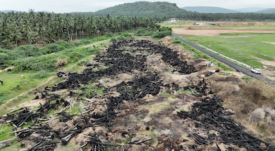 Trees cutdown and burnt for Rambilli site